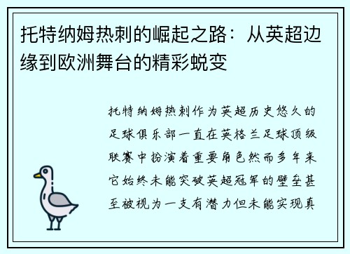托特纳姆热刺的崛起之路：从英超边缘到欧洲舞台的精彩蜕变