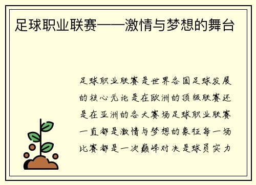 足球职业联赛——激情与梦想的舞台