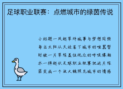足球职业联赛：点燃城市的绿茵传说